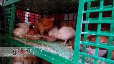 بالصور.. ارتفاع أسعار اللحوم والدواجن بسوق سليمان جوهر في الدقي