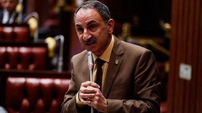 برلماني: تطوير الشون الترابية يقضي على الكميات المهدرة من القمح