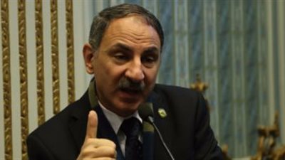 نائب يطالب بتوفير الاعتمادات المالية لمركز البحوث الزراعية