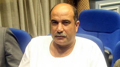 وكيل زراعة البرلمان يطالب الحكومة بإعادة النظر في تسعير أردب القمح