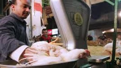 18 جنيهًا سعر كيلو الدواجن بالأسواق