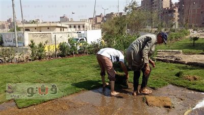 تشجير وتجميل الطريق الدائري بمدينة الخصوص