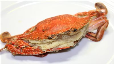 «الكابوريا» تسجل 37 جنيها بسوق الجملة و«البلطي» بـ12 جنيها