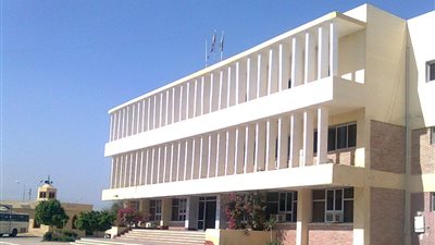 عليق: قيادة الشباب للمشاريع الاستثمارية «ضرورة»