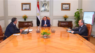 بالصوت..  شركات قطاع الأعمال المطروحة للبيع في البورصة