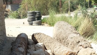 بالصور.. مزارعو أسيوط يشتكون من التعدي على أراضيهم