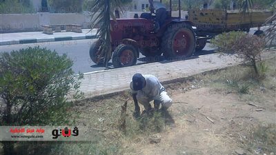 بالفيديو والصور.. عمال تحسين البيئة بالوادي الجديد: أوضاعنا سيئة ونطالب بالتثبيت