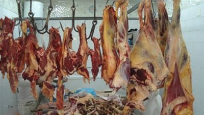 بيطري الجيزة: ذبح 24 ألف راس ماشية خلال يوليو