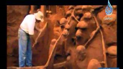 بالفيديو.. اكتشاف 