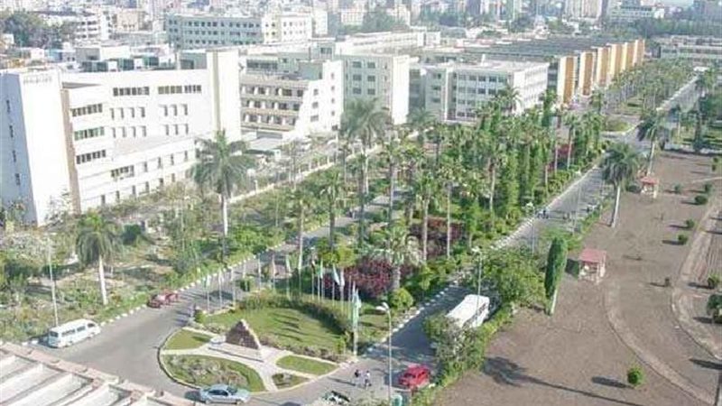 جامعة المنصورة
