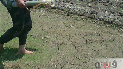 بالصور.. إزالة 6 مشاتل أرز مخالفة في القليوبية