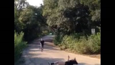 بالفيديو.. سقوط مروع لفتاة أثناء تزلجها على الرصيف