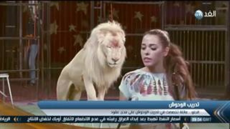 فيتو