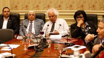 استشاري تنمية بشرية تنتقد عدم دعم الدولة لمنظمات المجتمع المدني