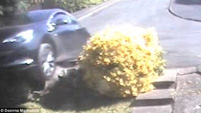 بالفيديو والصور.. سيارة تقتحم غرفة معيشة منزل