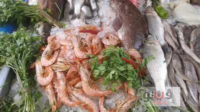 ارتفاع أسعار الأسماك اليوم.. والبلطي بـ29 جنيها في الجيزة