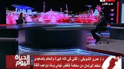 عمرو الشوبكي: حلف اليمين بالبرلمان الأسبوع المقبل