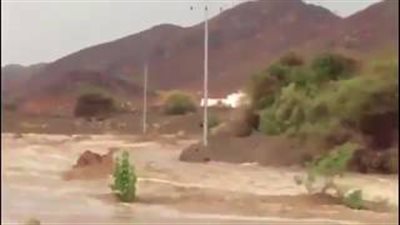 بالفيديو.. لحظة جرف السيول لجمل بالسعودية