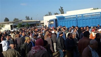 وقفة احتجاجية لعمال مصنع السكر في نجع حمادي بسبب العلاوة