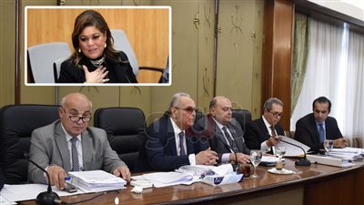 «الخصم والحكم».. أبو شقة يرأس لجنة حسم موقف سحر الهواري في البرلمان ويتولى الدفاع عنها.. رئيس اللجنة التشريعية يتنحى في الاجتماع المقبل.. وفوزي: يدافع عن النائبة «من باب الشهامة»