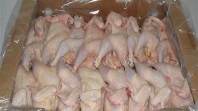 تنسيق بين الزراعة ومحافظة القليوبية لإحياء بورصة الدواجن