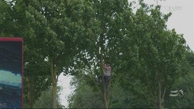 مشجع يتسلق شجرة بملعب بريطانيا لمشاهدة مباراة ستوك ومانشستر