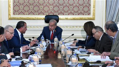 الوزراء: جدولة 56 مليار جنيه من مديونيات المالية لـ«التأمينات»