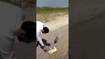 بالفيديو.. لحظة إنقاذ رجل لكلاب من الموت بسبب العطش