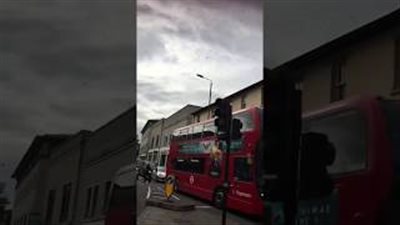 بالفيديو.. سرب نحل يتسبب في أزمة مرورية في لندن