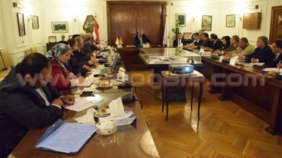 «التموين»: الدولة ملتزمة باستلام القمح المحلي بـ420 جنيها للإردب