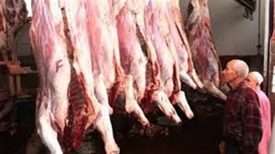 تباين أسعار اللحوم.. و«الضأن» يسجل 115 جنيها