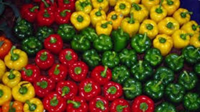 الفلفل الألوان يسجل 14 جنيهًا بسوق الجملة.. اليوم