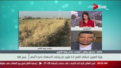 بالفيديو.. «التموين»: الاحتياطي الإستراتيجي للقمح يكفي حتى فبراير