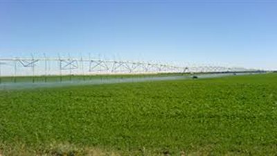 مواطن يشكو من ارتفاع الأسعار بمشروع الـ1.5مليون فدان