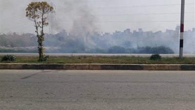 حريق في أرض مجاورة للرقابة الإدارية بدمياط