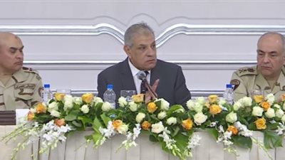 بالفيديو.. أجهزة الدولة تبدأ تنفيذ تكليفات السيسي باسترداد الأراضي