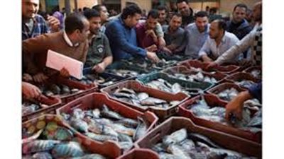 «الكابوريا» تسجل 37 جنيها بسوق الجملة.. اليوم