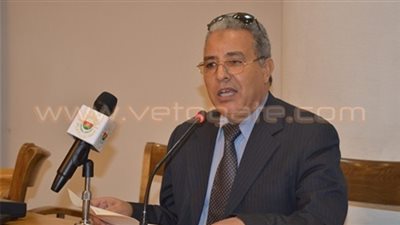 الحديد والصلب: إلغاء وزارة قطاع الأعمال العام ليس في مصلحة أحد