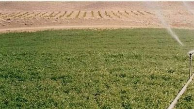 إجراءات التعاقد على أراضي «الـ1.5 مليون فدان»