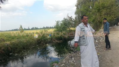 مزارعو الأزر بالشرقية: «الحكومة بتدبح الفلاح»