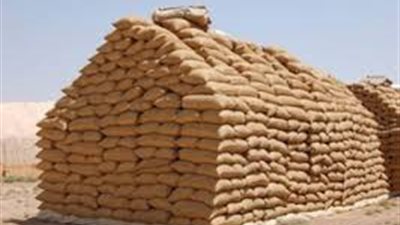 بالفيديو.. التموين: احتياطي القمح يكفي حتى منتصف فبراير 2018