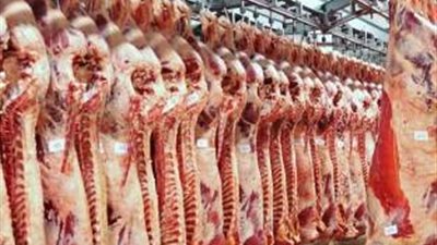 استقرار أسعار اللحوم والأسماك اليوم.. والكندوز بـ150 جنيهًا