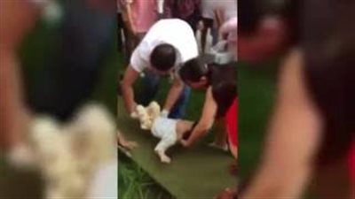 بالفيديو.. أم تلقى بابنها من الطابق السابع بعد شجار مع زوجها