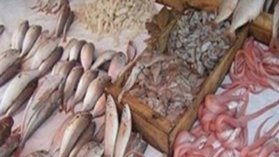 «التموين» تضبط 2.250 طن أسماك وجمبري فاسدة بشبرا الخيمة