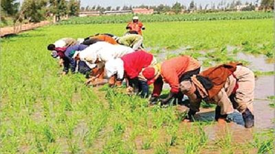 مصدر تمويني يحذر من 