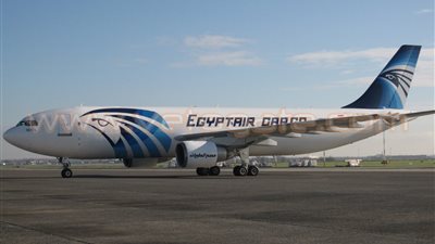 مصادر: نقل الطيور والحيوانات أبرز حملات طائرات الشحن الجوي