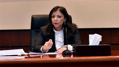 الاستثمار: تأسيس 1445 شركة برأسمال 2.6 مليار جنيه في يناير الماضي