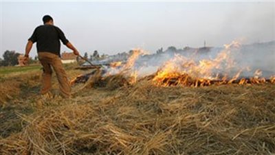 البيئة تواجه نوبات تلوث الهواء بتحرير 98 محضر حرق مخلفات زراعية