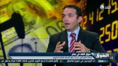 خبير اقتصادي: رفع البنك المركزي أسعار الفائدة يضخم الدين العام