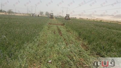بالصور.. إزالة التعديات على 67 فدانا من أملاك الدولة في سوهاج